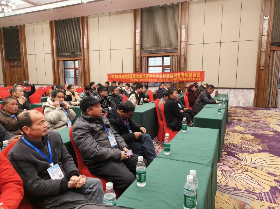 1735303754202648.jpg 3.jpg