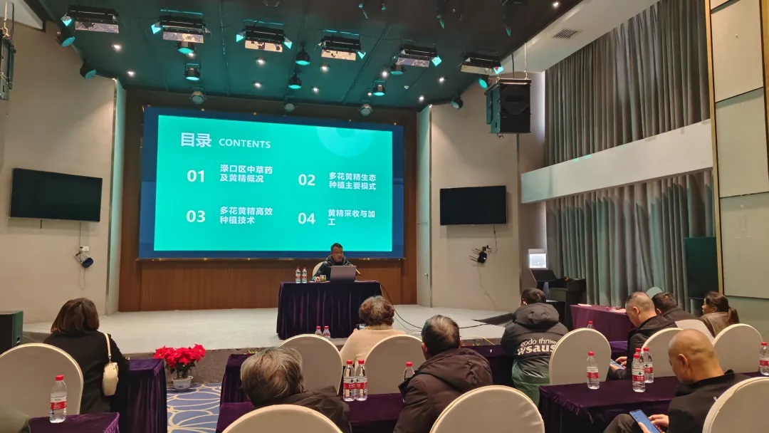 1735305705129280.jpg 1.jpg