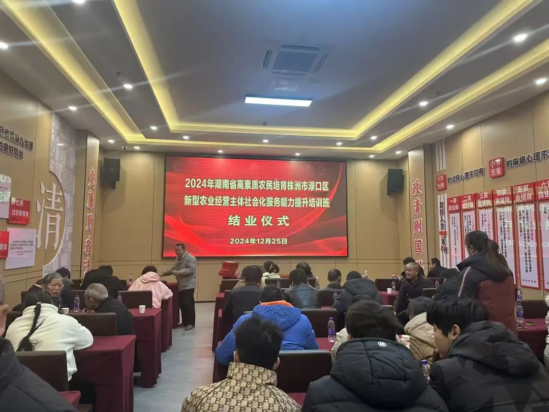 1735305753509767.jpg 4.jpg