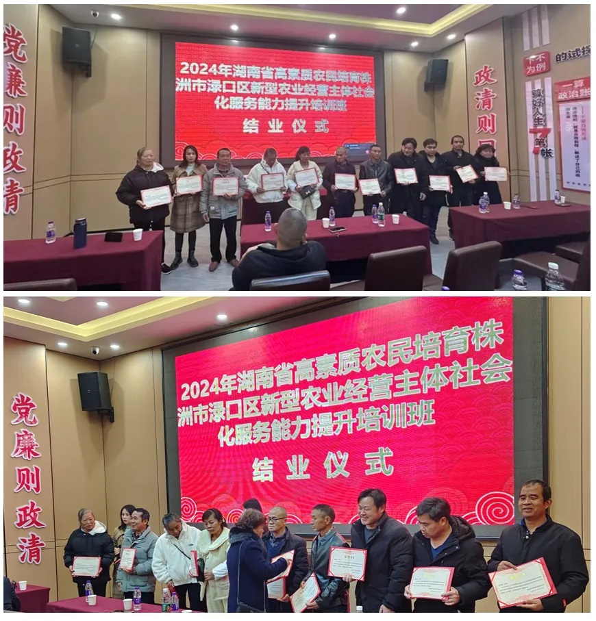 1735305782190910.jpg 5.jpg