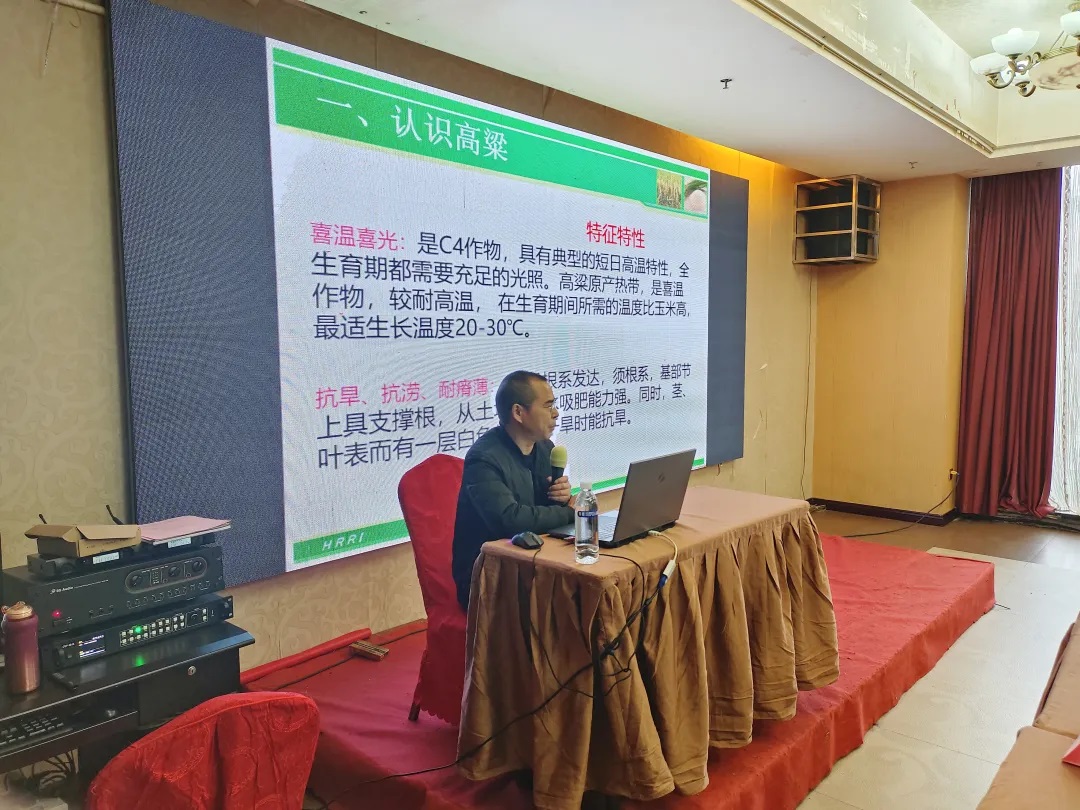 1736566542702275.jpg 1.jpg