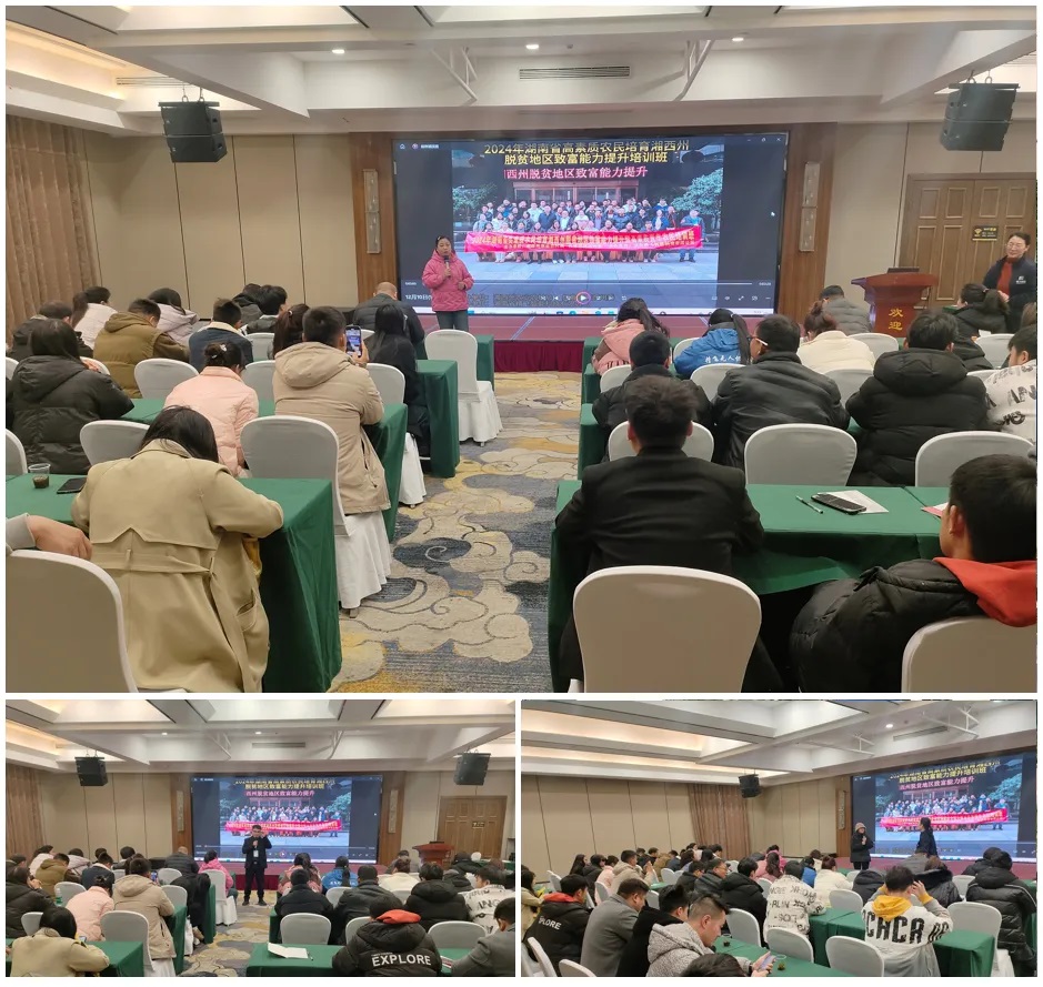 1736566612191015.jpg 2.jpg