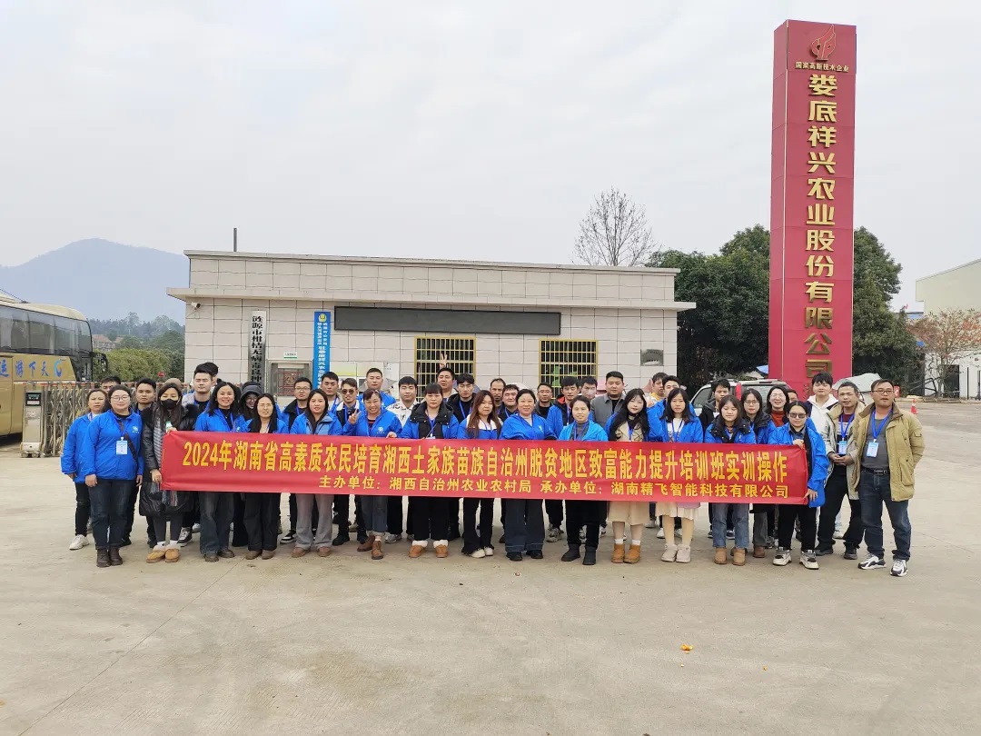 1736566763458701.jpg 4.jpg