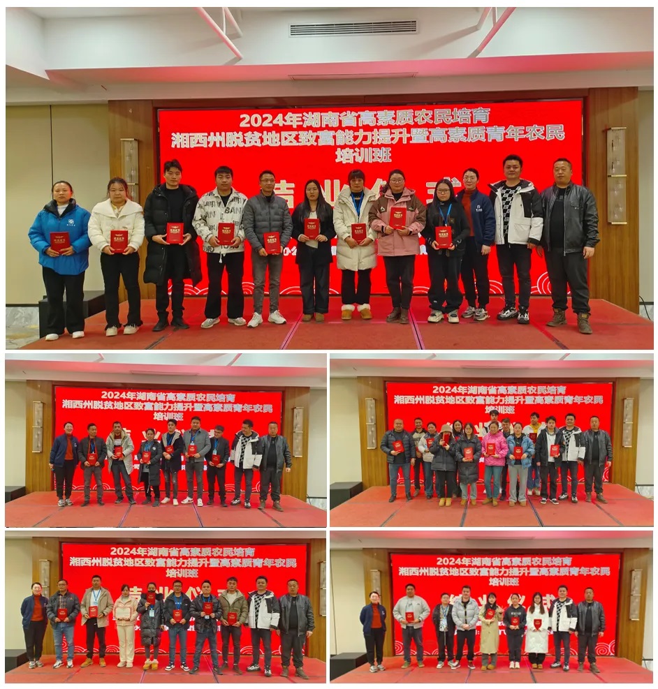 1736566811232849.jpg 5.jpg