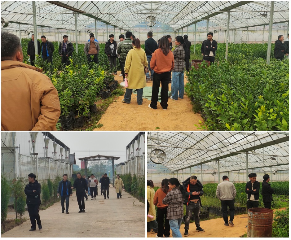 1736828076177685.jpg 640 (2).jpg