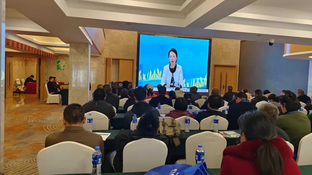 1736831414157403.jpg 640 (2).jpg